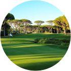 Image for Dom Pedro - Millennium Course course